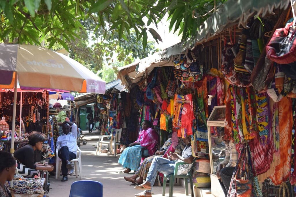 Official Guide to Travelling to The Gambia: Visa and Health Requirements